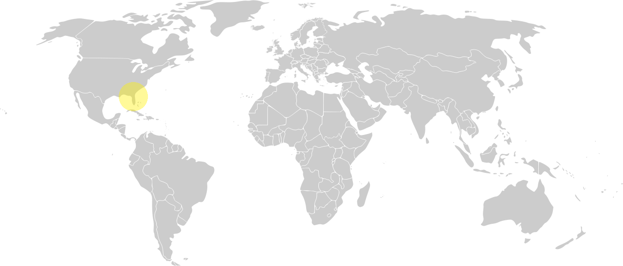 Photo of the world map with a point in miami